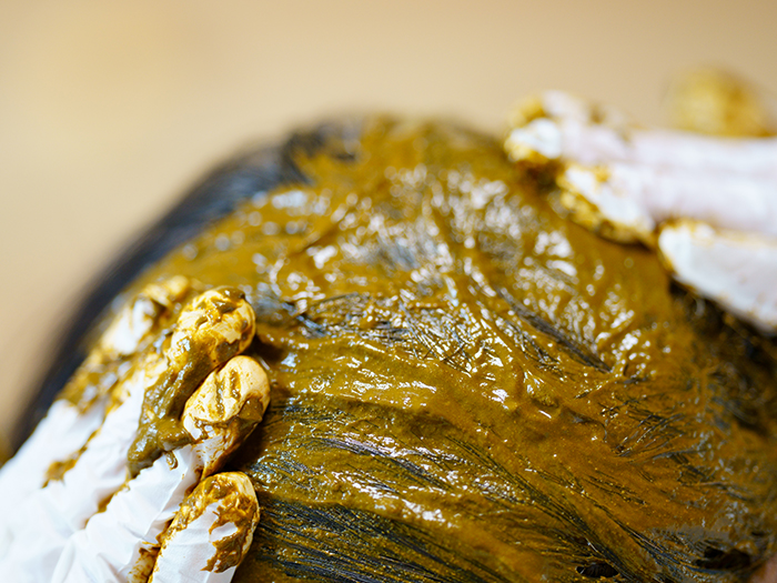 ヘナをもっと楽しむための塗り方・練り方の基本